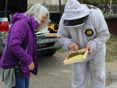 Bee Removal Services and Warranties Bee Removal Services and Warranties